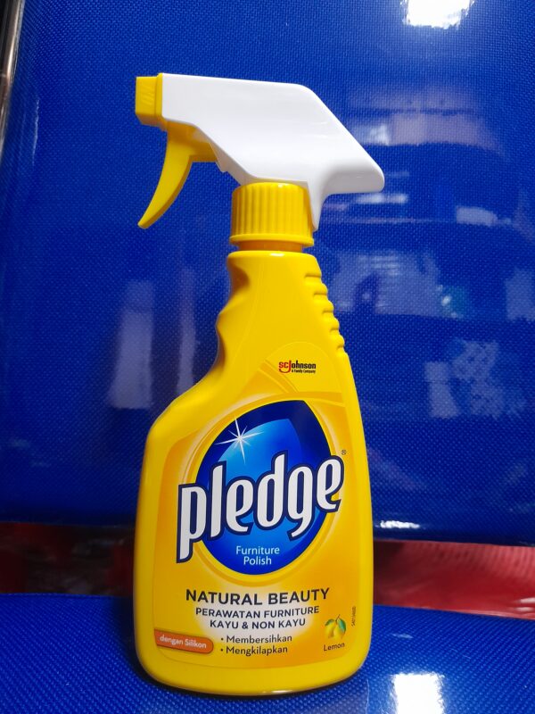 Pledge Liquid Spray 450ml